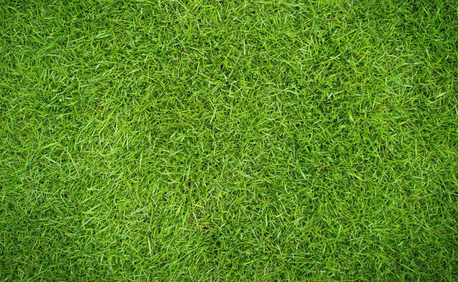 Grass stain