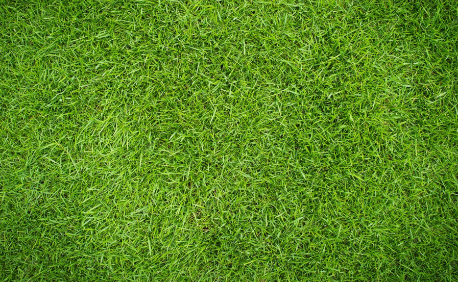 Grass stain