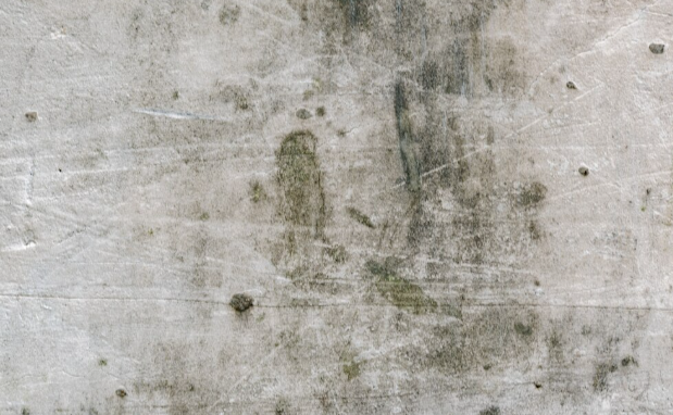 Mold stain